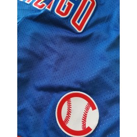 Blue High Quality Men's Embroidered Baseball Shorts with Pockets, Breathable, Casual Fashion, Sports Zipper